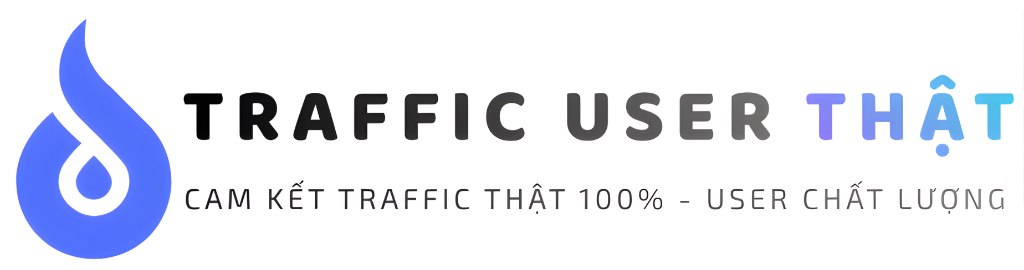 Traffic User thật